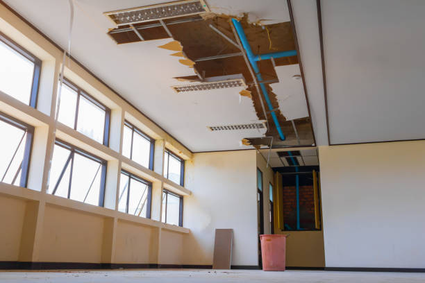 Best Water damage contractors near me  in Ashland, MO