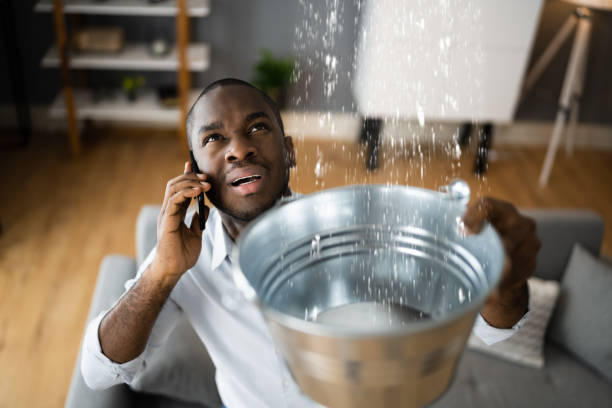 Best Water damage cleanup near me  in Ashland, MO